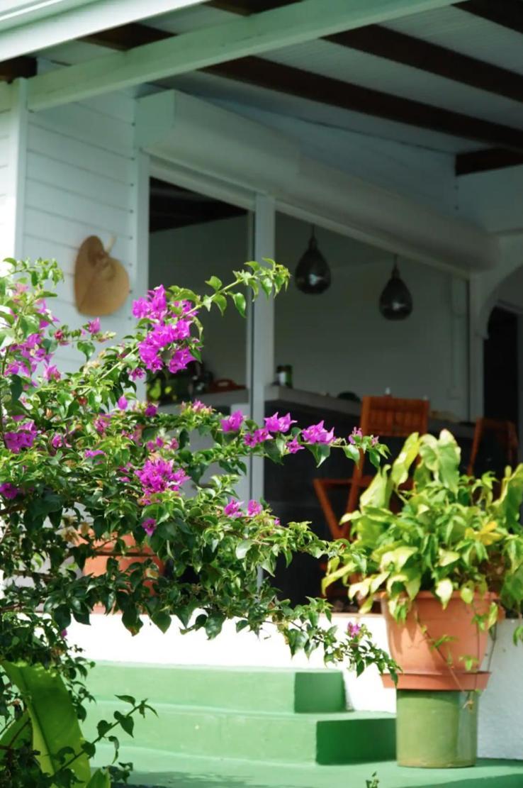 Villa Cristalline Douceur des Alizés Belle-Allée Exterior foto